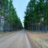 разведка окрестностей 2 :: Иннокентий Авдонин