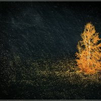 одиночество :: александр 