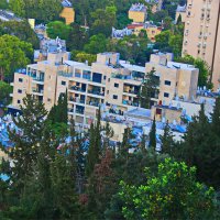 Хайфа 2025 :: Владислав Воровский 