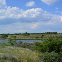 Местные виды. :: Виктор 