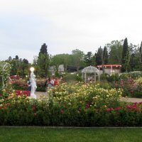 В парке Ривьера :: Валерий 