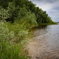 "Первый день лета. Берег Волги"© :: Владимир Макаров