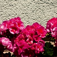 Летние этюды 2 :: Алексей Кузнецов Летние этюды 2 :: Алексей Кузнецов