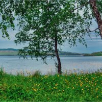 Вот и лето пришло.. :: Алексей Мезенцев