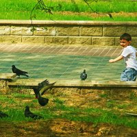 Июнь...Малыш и голуби! :: Владимир 