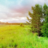 Утро :: minua83 киракосян