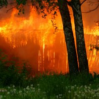 Стихия огня :: Василий Прудников