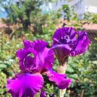 ,,, :: Сергей Тимоновский