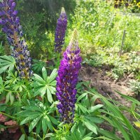 ,,, :: Сергей Тимоновский