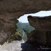 Природа Крыма :: Amazing Cosmea Природа Крыма :: Amazing Cosmea