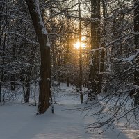 Зима. :: Александр 
