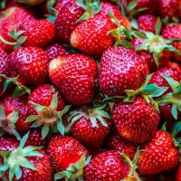 Клубника :: Тамара Федорова