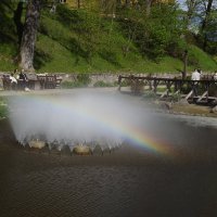 весна :: ИННА ПОРОХОВА весна :: ИННА ПОРОХОВА