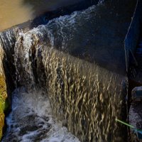 В арыке :: Светлана SvetNika17 В арыке :: Светлана SvetNika17