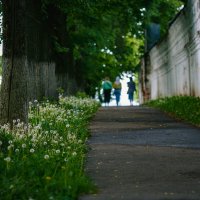 *** :: Вячеслав Владимирович *** :: Вячеслав Владимирович