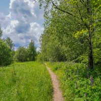 Тропинками лета... :: Владимир Жданов Тропинками лета... :: Владимир Жданов