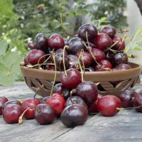 Две сладких крымских пригоршни... :: Валерий Басыров