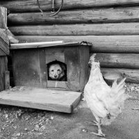** :: Борис Руднев