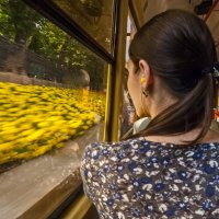 Летний маршрут :: Наталья Rosenwasser Летний маршрут :: Наталья Rosenwasser