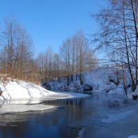 Река Вядя.Пензенская область. :: Рудаков Сергей 