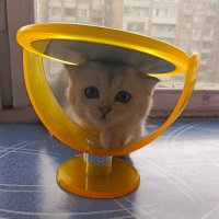 Кажется,дождь собирается..... :: Марина Леонидовна