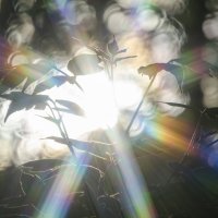 В лечах :: Lyubov Busova