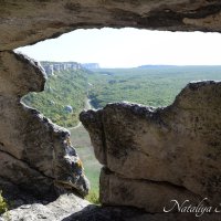 Природа Крыма :: Amazing Cosmea