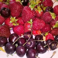 Летний :: Елена Семигина Летний :: Елена Семигина