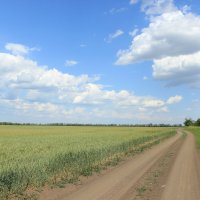 Мои дороги. :: Виктор 