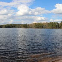 Комарово. Озеро Щучье :: Наталья Герасимова Комарово. Озеро Щучье :: Наталья Герасимова