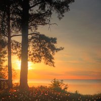 *** :: Сергей Григорьев *** :: Сергей Григорьев