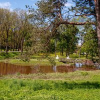 *** :: Геннадий Порохов