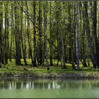 *** :: Aleksandr Gal *** :: Aleksandr Gal