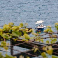 Крым. Гурзуф. Май 2025 :: Вячеслав Владимирович