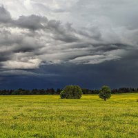 Перед грозой :: Владимир Езеров 
