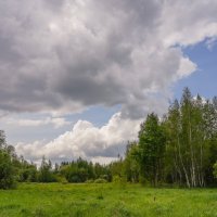 В поле... :: Владимир Жданов