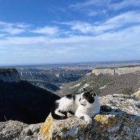 Абориген :: Vyacheslav Gordeev