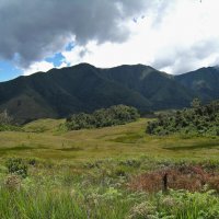 Кусочек Папуа-Новой Гвинеи. :: unix (Илья Утропов)