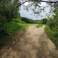 Сегодня облачно :: Андрей Лукьянов