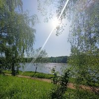 луч солнца золотого... :: Галина R...