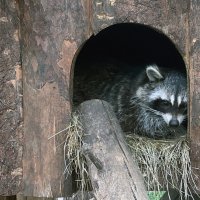 Скучный день :: Дмитрий Иванов