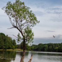 у озера :: Michel 