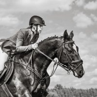 Конкур :: SanSan 