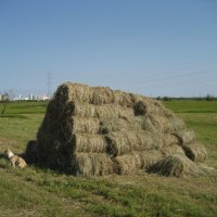 Август :: Anna Ivanova Август :: Anna Ivanova