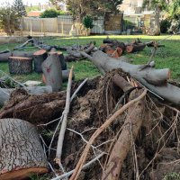 " :: Светлана Хращевская