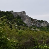 Природа Крыма :: Amazing Cosmea