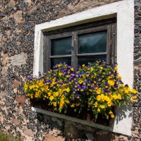 *** :: Геннадий Порохов