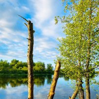 На рыбалке :: Игорь Чичиль