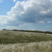 Ковыль. :: Виктор 