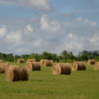 Сенокосная пора... :: Надежда Куркина 